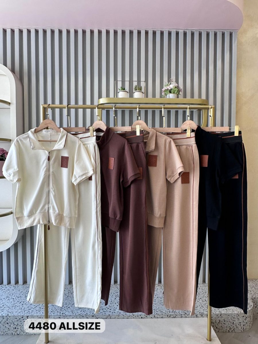 4480 Set Loewe